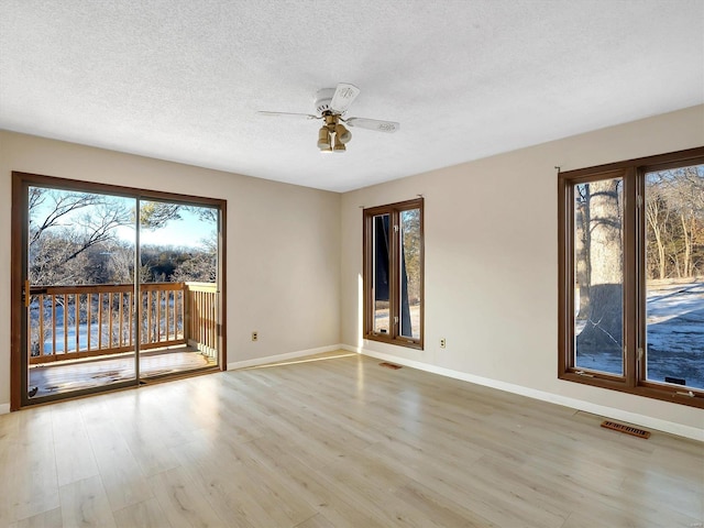 unfurnished room featuring plenty of natural light, a textured ceiling, and light hardwood / wood-style flooring