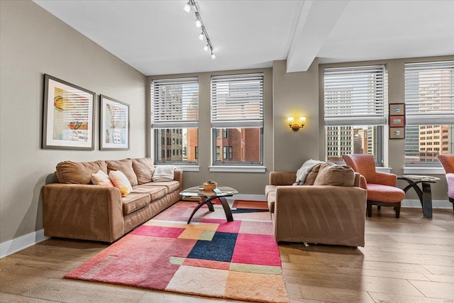 living room with beamed ceiling, wood-type flooring, and rail lighting