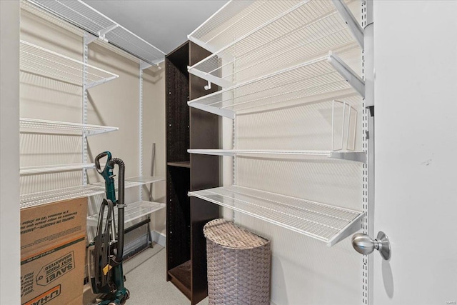 walk in closet with carpet floors