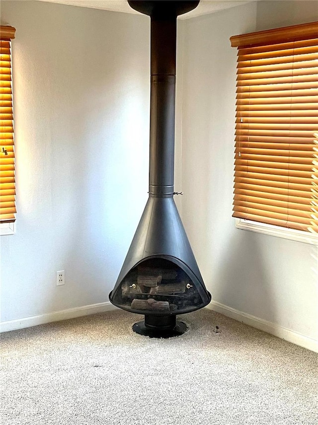 room details featuring a wood stove and carpet