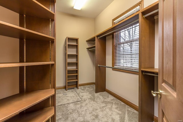 walk in closet featuring light carpet