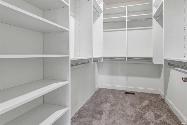 spacious closet with carpet flooring