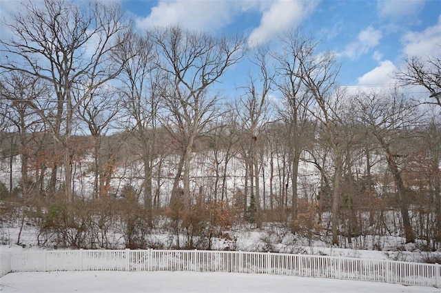 view of yard covered in snow