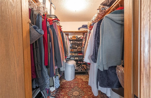 spacious closet featuring carpet floors