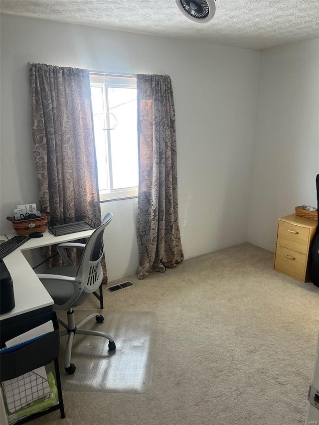 carpeted office with a textured ceiling