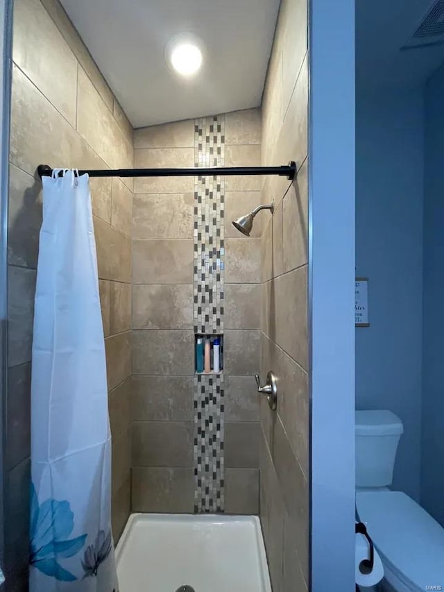 bathroom with toilet and a stall shower