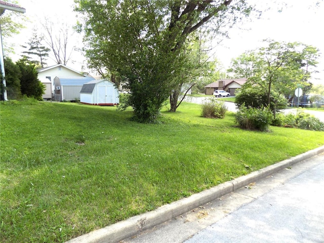 view of yard with a storage unit