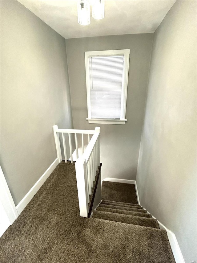 stairs featuring carpet flooring