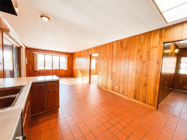 kitchen with a healthy amount of sunlight, sink, and wooden walls