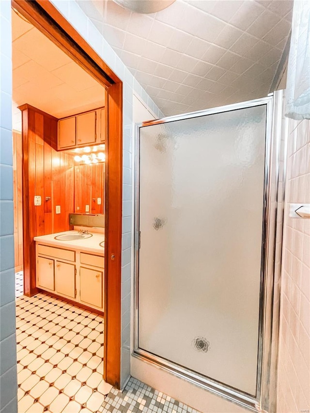 bathroom with vanity and a shower with shower door