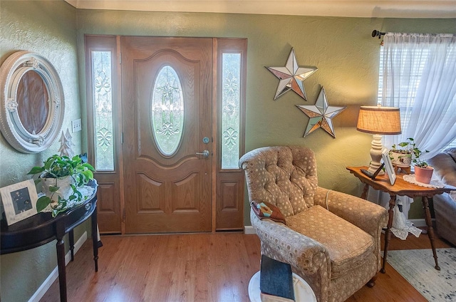 foyer entrance with a healthy amount of sunlight and wood-type flooring