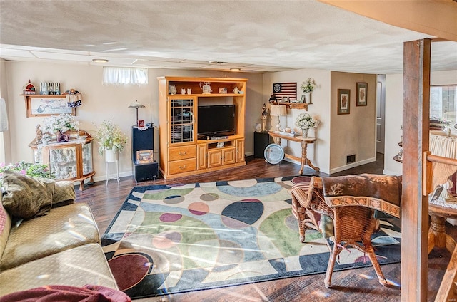 living room featuring dark wood-type flooring