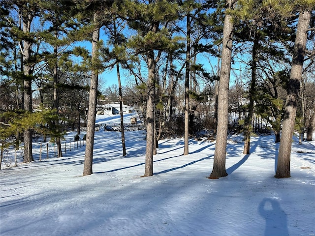 view of snowy yard