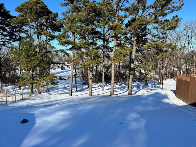 view of yard layered in snow