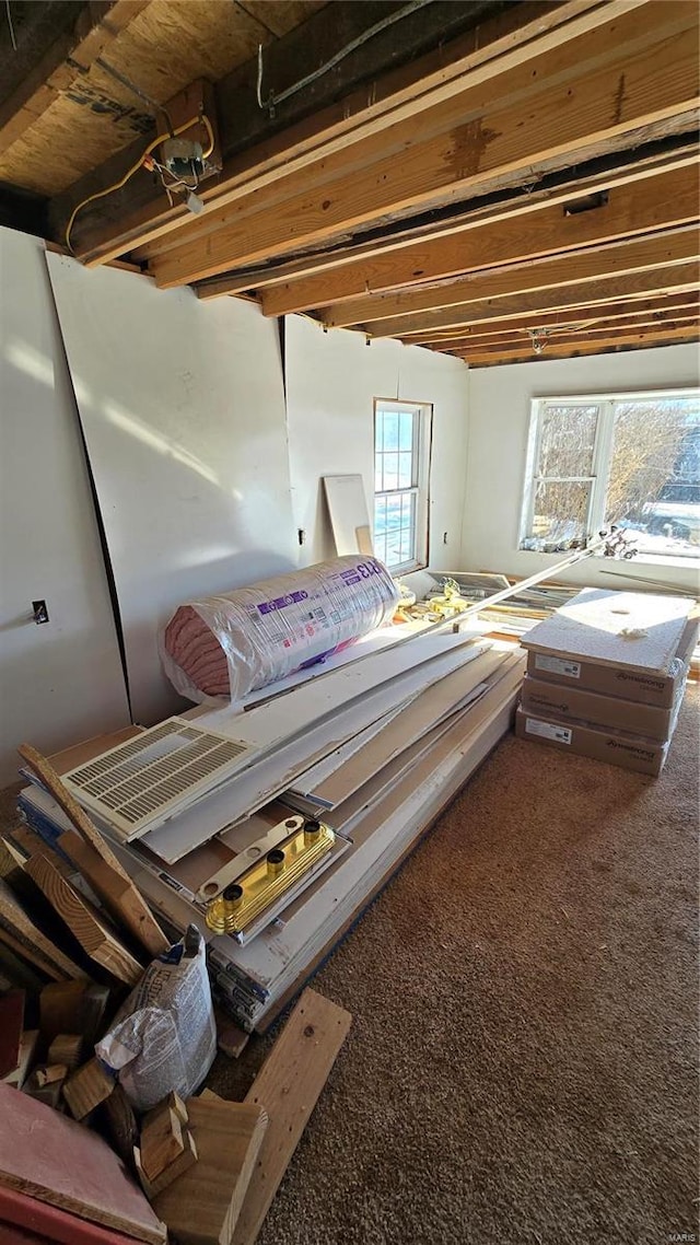 miscellaneous room with carpet floors