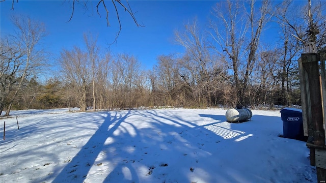 view of yard covered in snow