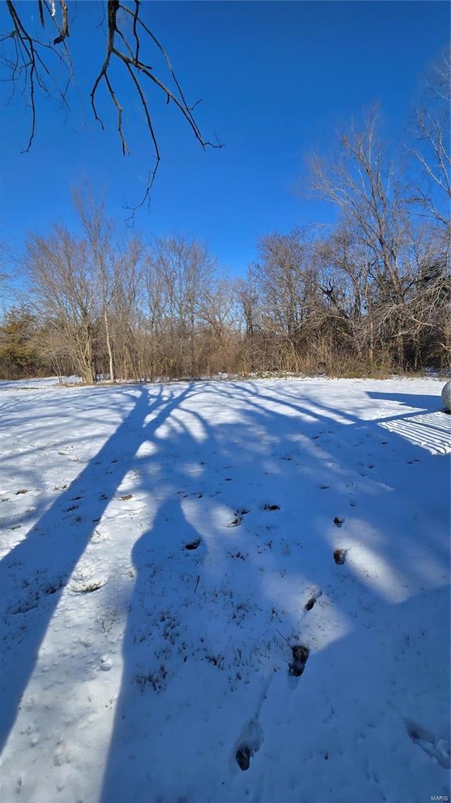 view of snowy yard