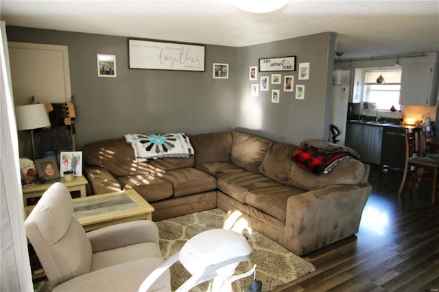 living room with dark hardwood / wood-style flooring and sink