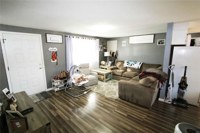 living room featuring dark wood-type flooring