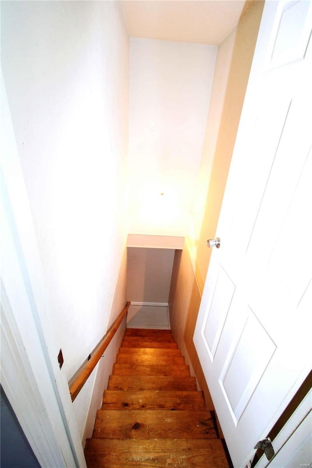 stairway featuring wood-type flooring