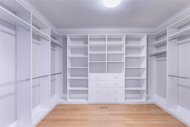 walk in closet featuring hardwood / wood-style floors