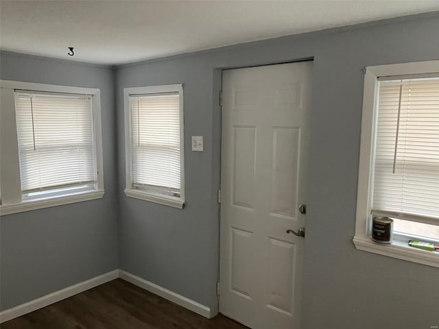 entryway with a wealth of natural light and dark hardwood / wood-style floors