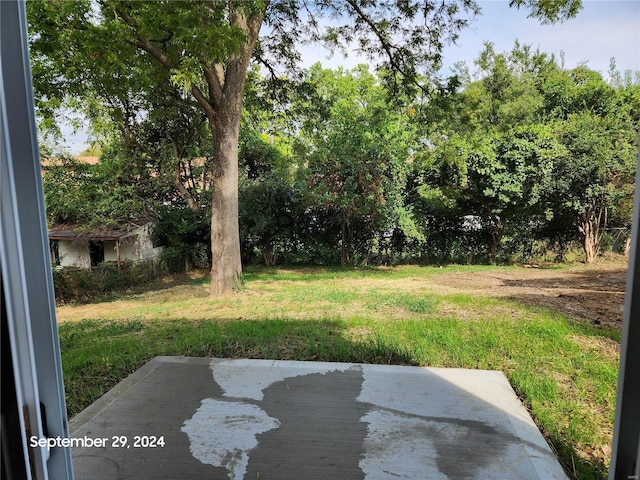 view of yard featuring a patio area