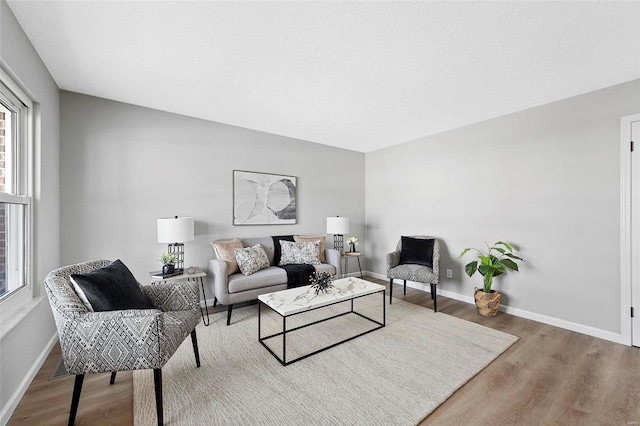 living room featuring hardwood / wood-style floors