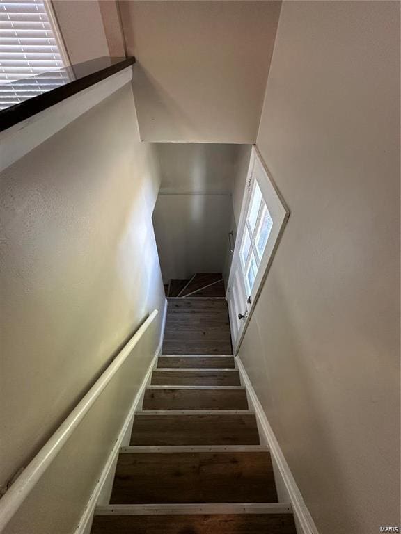 stairway with hardwood / wood-style floors