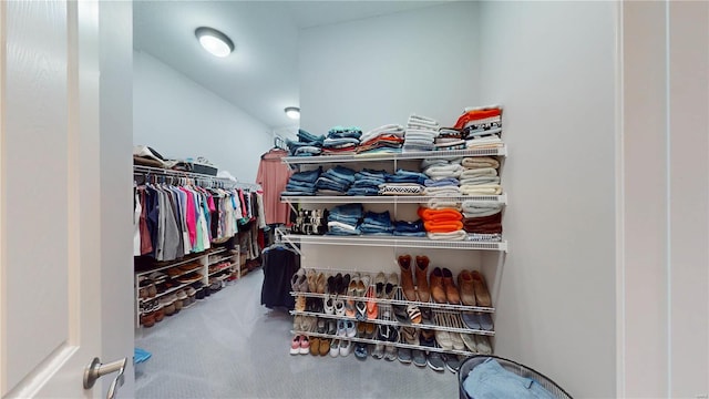 spacious closet with carpet