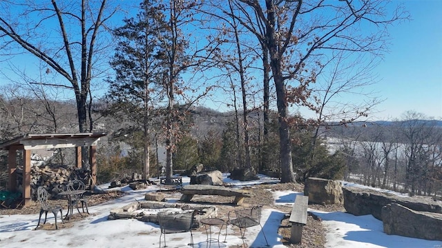 view of snowy yard