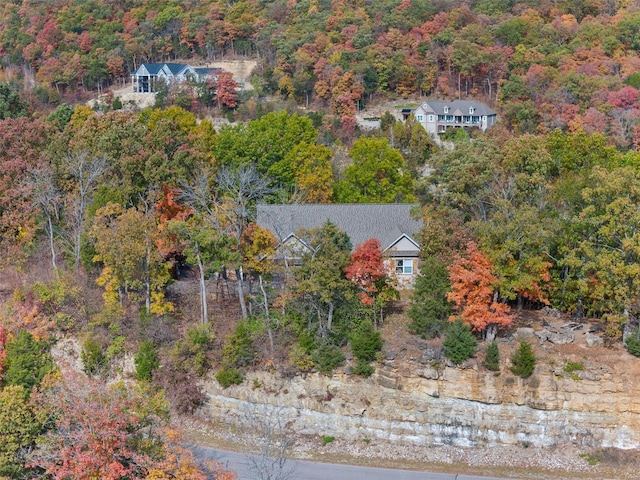 bird's eye view