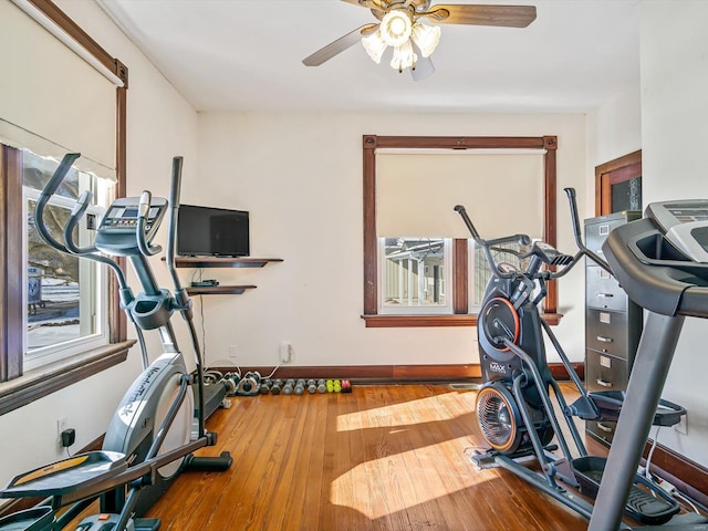 workout room with hardwood / wood-style flooring, ceiling fan, and baseboards