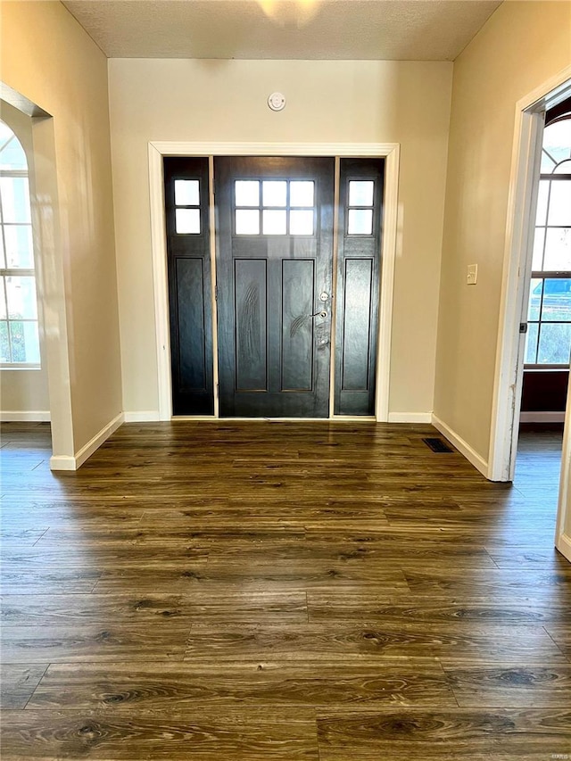 entrance foyer featuring a healthy amount of sunlight and dark hardwood / wood-style flooring