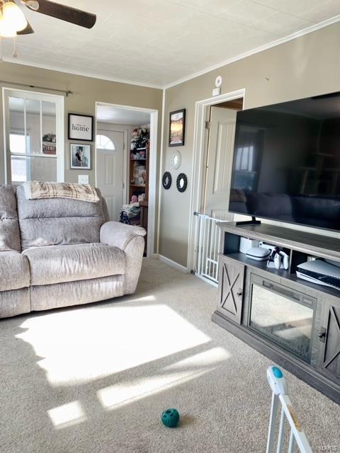 living room with carpet floors, ceiling fan, and ornamental molding