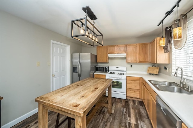 kitchen featuring pendant lighting, stainless steel appliances, dark wood-type flooring, and sink