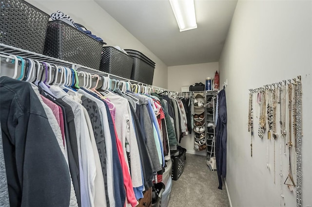 view of walk in closet