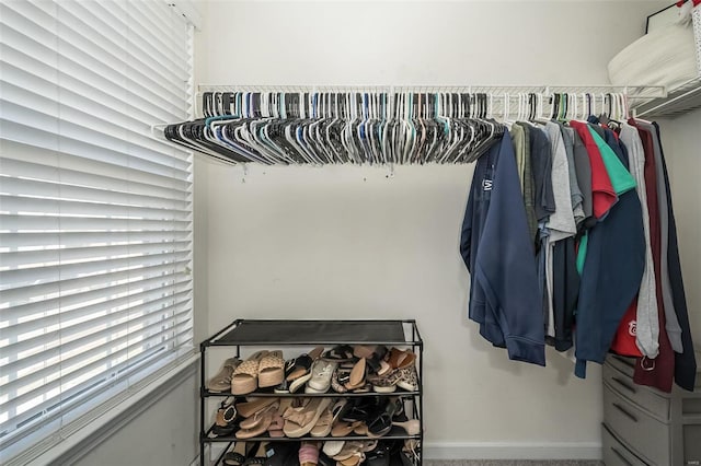 spacious closet featuring carpet floors