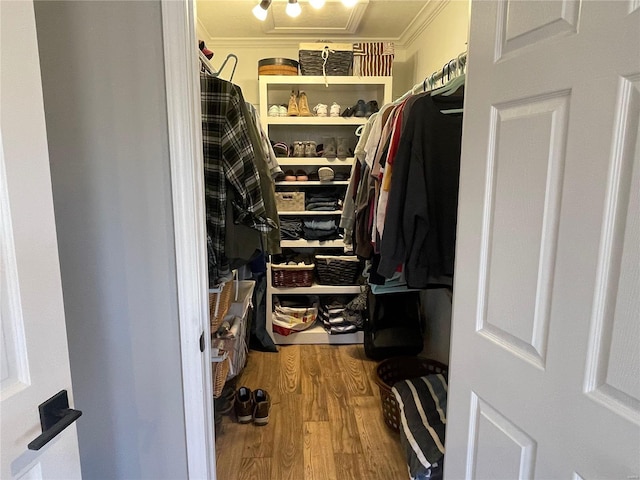 walk in closet with hardwood / wood-style flooring