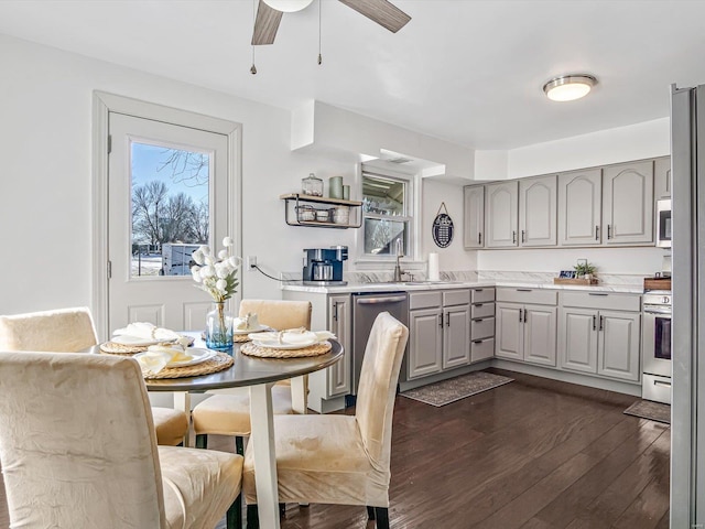 kitchen with ceiling fan, appliances with stainless steel finishes, gray cabinetry, and dark hardwood / wood-style flooring