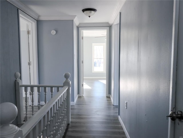 corridor featuring crown molding and dark wood-type flooring