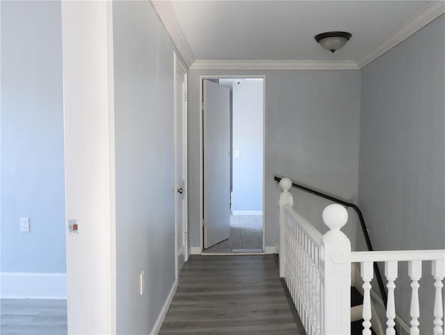 hallway with crown molding and dark wood-type flooring