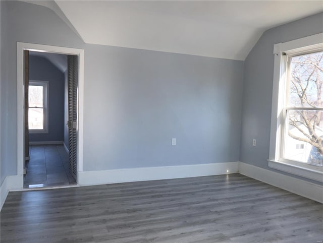 interior space featuring vaulted ceiling, a wealth of natural light, and dark wood-type flooring