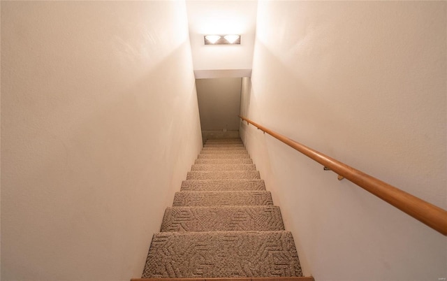 stairs with carpet flooring