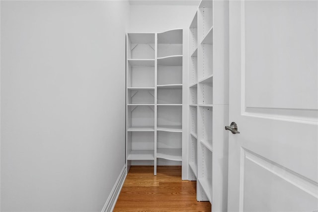 walk in closet with hardwood / wood-style floors