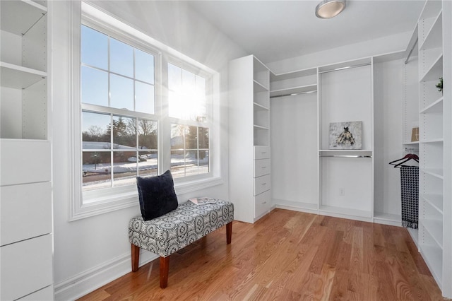 spacious closet featuring hardwood / wood-style flooring