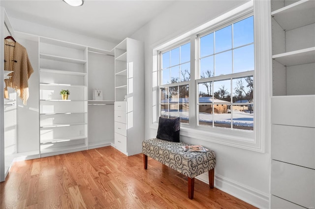 walk in closet featuring wood-type flooring