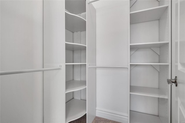 spacious closet featuring carpet flooring