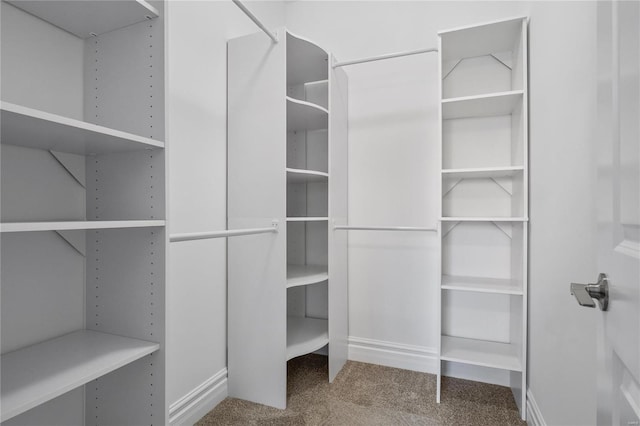 walk in closet with carpet