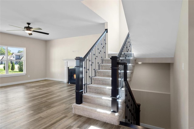 stairs featuring ceiling fan and hardwood / wood-style flooring